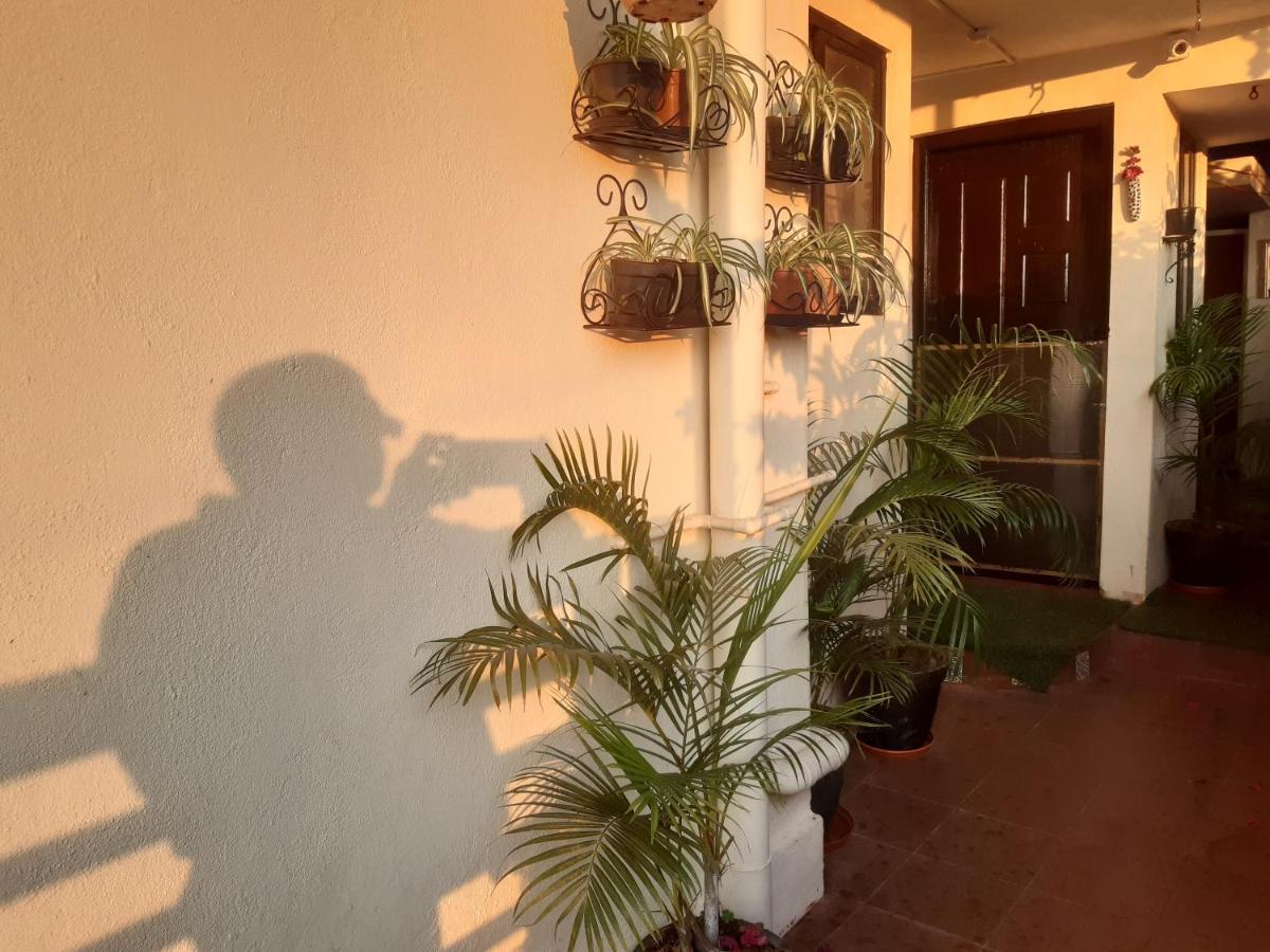 Tiny House For Couple Apartment Madikeri Exterior photo